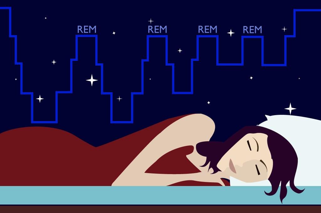 Rem, Nonrem ve Uykunun Beş dönemi nedir?